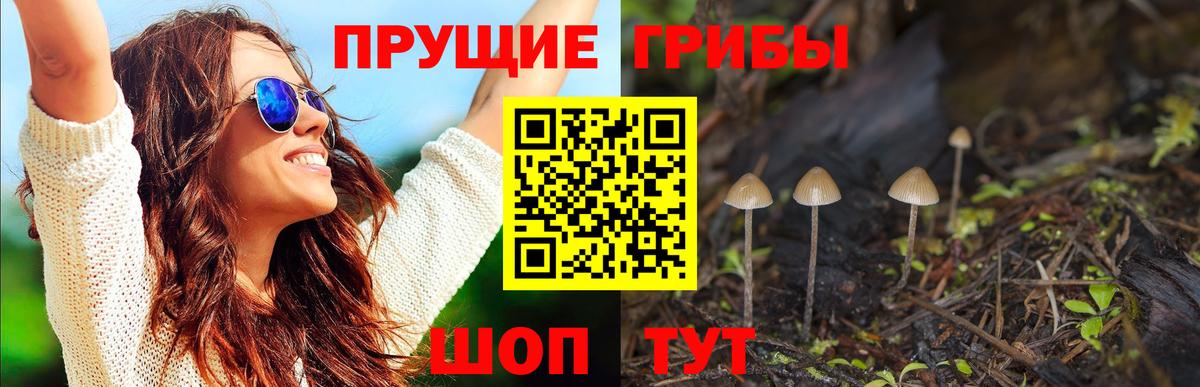 Псилоцибиновые грибы Psilocybe  Вход с VPN  Галлюциногенные грибы мицелий  Уссурийск 